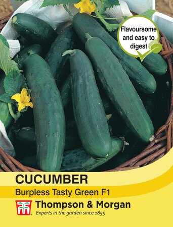 Cucumber - Burpless Tasty Green F1 - Thompson and Morgan Seed Pack - image 1
