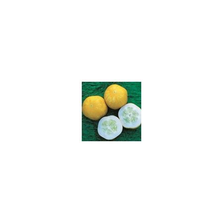 Cucumber Crystal Lemon Kings Seeds