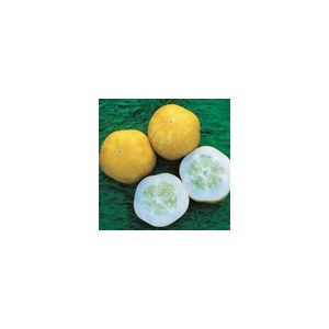 Cucumber Crystal Lemon Kings Seeds