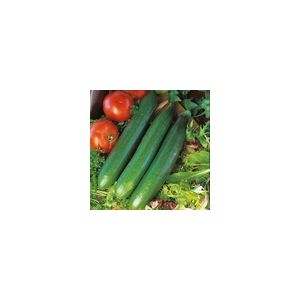 Cucumber Telegraph Improved Kings Seeds