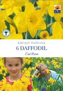Daffodil - Carlton - 6 Bulb Pack