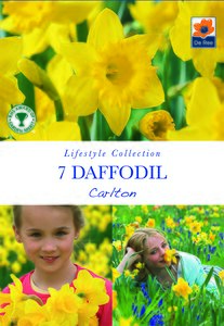 Daffodil - Carlton - 7 Bulb Pack