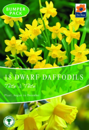 Daffodil (Dwarf) - Tête-A-Tête - 18 Bulb Pack