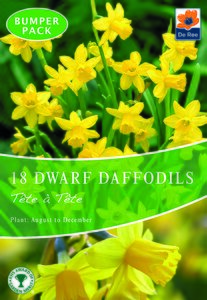 Daffodil (Dwarf) - Tête-A-Tête - 18 Bulb Pack