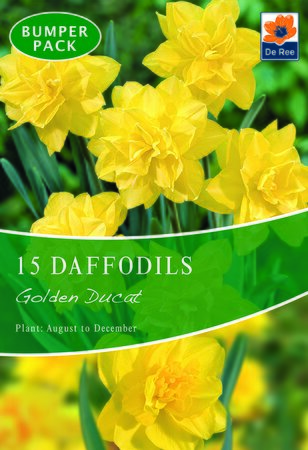 Daffodil - Golden Ducat - 15 Bulb Pack