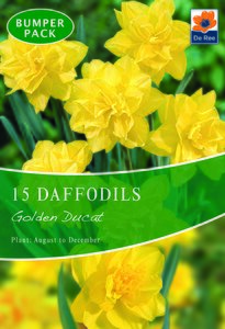 Daffodil - Golden Ducat - 15 Bulb Pack