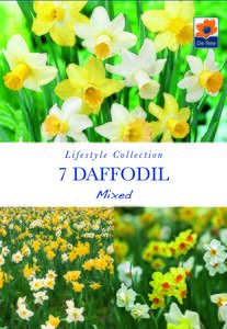Daffodil - Mixed - 7 Bulb Pack