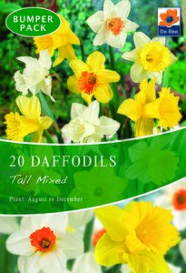 Daffodil - Tall Mixed - 20 Bulb Pack