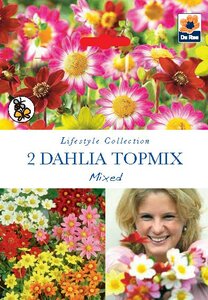 Dahlia Topmix Mixed 2 Bulb Pack