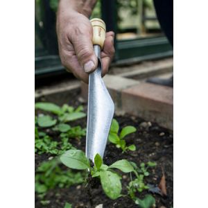 Darlac Bamboo Weeding & Seeding Trowel