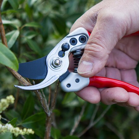 Darlac Expert Small Bypass Pruners - image 2