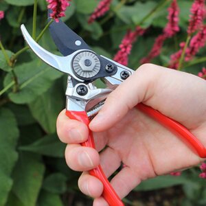 Darlac Ladies Professional Bypass Pruner - image 2