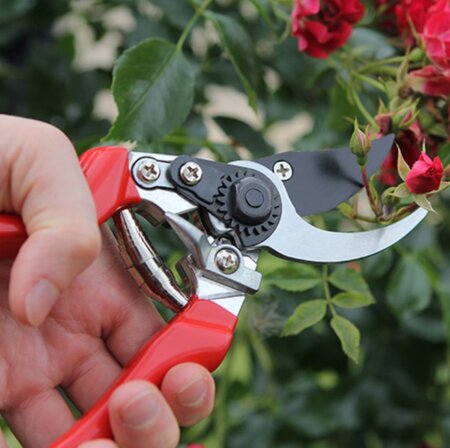 Darlac Professional Left Hand Bypass Pruner - image 2