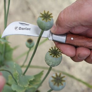 Darlac Pruning Knife - image 2