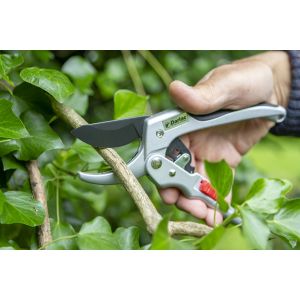 Darlac Super Classic Ratchet Secateurs