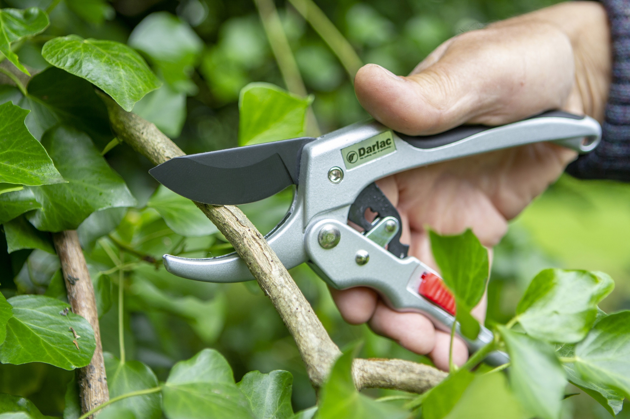 Darlac Super Classic Ratchet Secateurs Horticentre Your Family Run