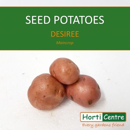 Desiree Scottish Seed Potatoes 1.5Kg