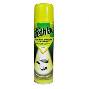 Dethlac Insecticidal Lacquer - 250Ml Aerosol