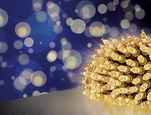 Diamond Cut Fairy Cap Lights 150 LEDs - Warm White