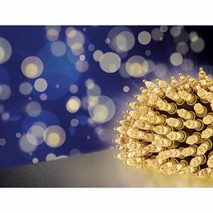 Diamond Cut Fairy Cap Lights 300 LEDs - Warm White