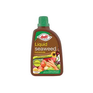 Doff Liquid Seaweed Concentrate 1 Ltr