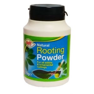 Doff Natural Rooting Powder 75G