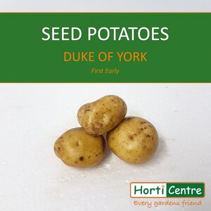 Duke Of York Scottish Seed Potatoes 20Kg