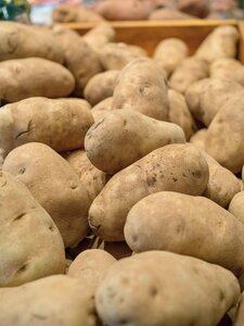 Elland Scottish Seed Potatoes 25kg