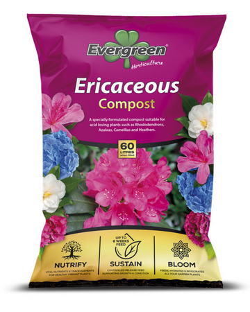 Evergreen Ericaceous 60L Compost