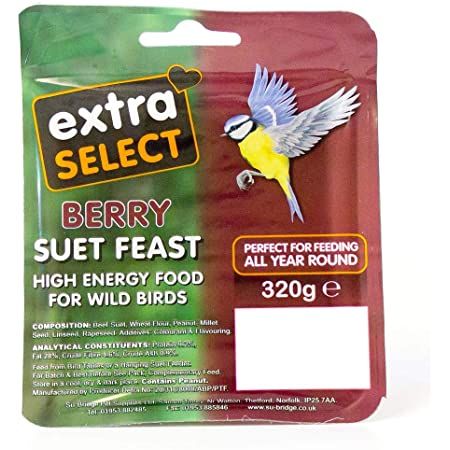 Extra Select Berry Suet Feast Block 320g