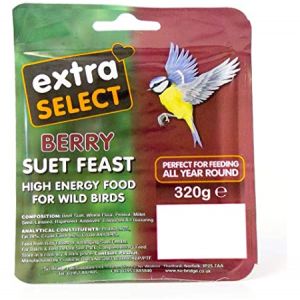 Extra Select Berry Suet Feast Block 320g