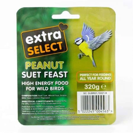 Extra Select Peanut Suet Feast Block 320g