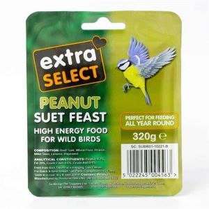 Extra Select Peanut Suet Feast Block 320g