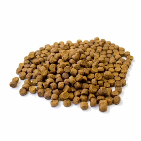Extra Select Premium Dry Hedgehog Dinner 5L Tub - image 2