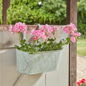 Fence & Balcony Fern Hanging Pot 12" - Sage