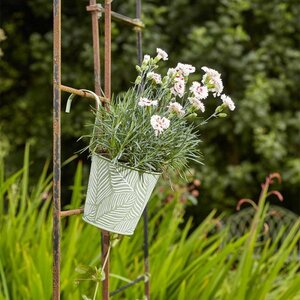 Fence & Balcony Fern Hanging Pot 6" - Sage