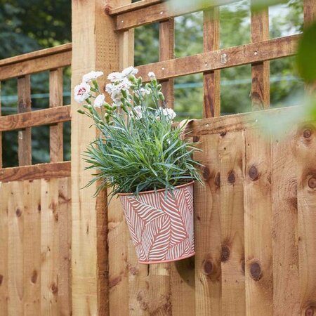 Fence & Balcony Fern Hanging Pot 6" - Terracotta - image 1