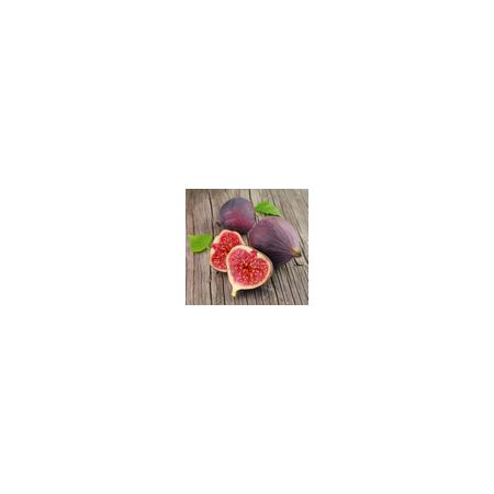 Fig (Ficus) Brown Turkey Bush 3L Container