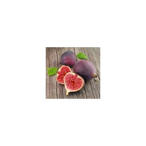 Fig (Ficus) Brown Turkey Bush 3L Container