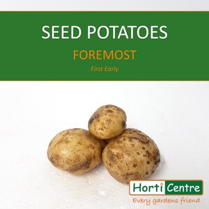 Foremost Scottish Seed Potatoes 1.5Kg