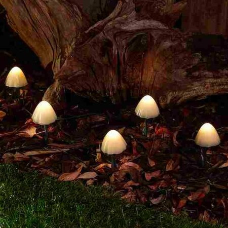 Forest Solar Mushroom Lights - Set of 12 - image 1