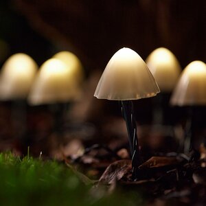 Forest Solar Mushroom Lights - Set of 12 - image 2