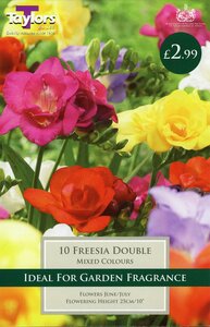 Freesia Double Mixed Colours 10 Bulb Pack