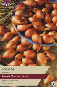 French Shallot Longor 10 Bulbs