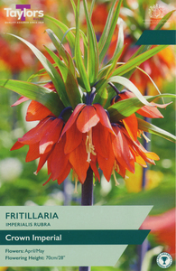 Fritillaria -  Imperials Rubra - 1 Bulb Pack