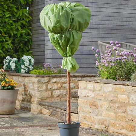G30 Plant Warming Fleece, Green, 1.5m x 10m