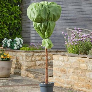 G30 Plant Warming Fleece, Green, 1.5m x 10m