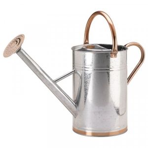 Galvanised Steel Watering Can 9 litre