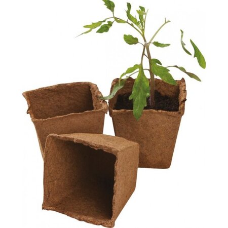 Garland 12 x 8cm Fibre Pot Pack