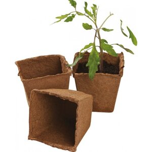 Garland 12 x 8cm Fibre Pot Pack